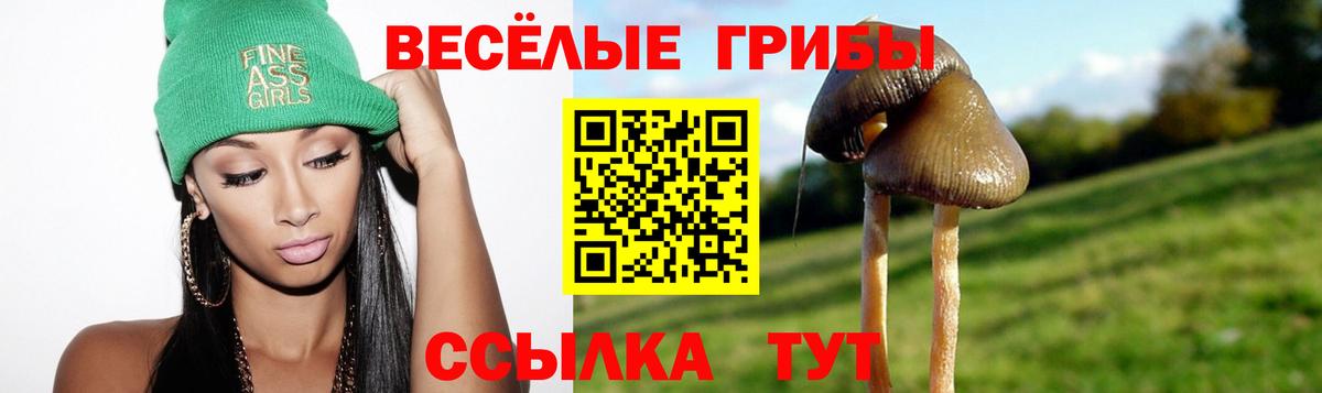 наркота  Вход с VPN  Аксай  Галлюциногенные грибы мицелий 